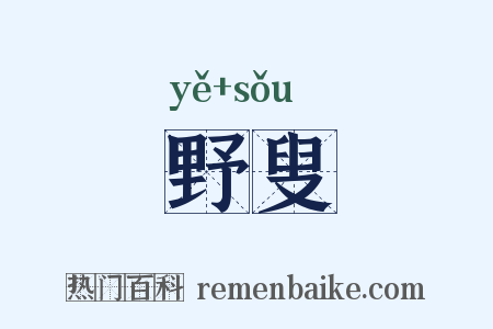 野叟是什么意思的图片